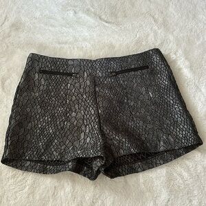 Sans Souci metallic grey and black shorts